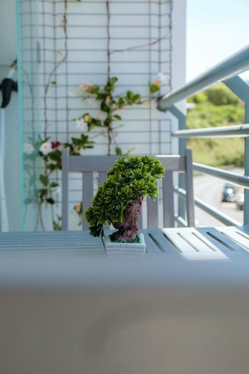 Guestready - A Sunny Delight In Funchal Apartman Kültér fotó